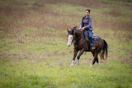 Découvrir l'équitation Western