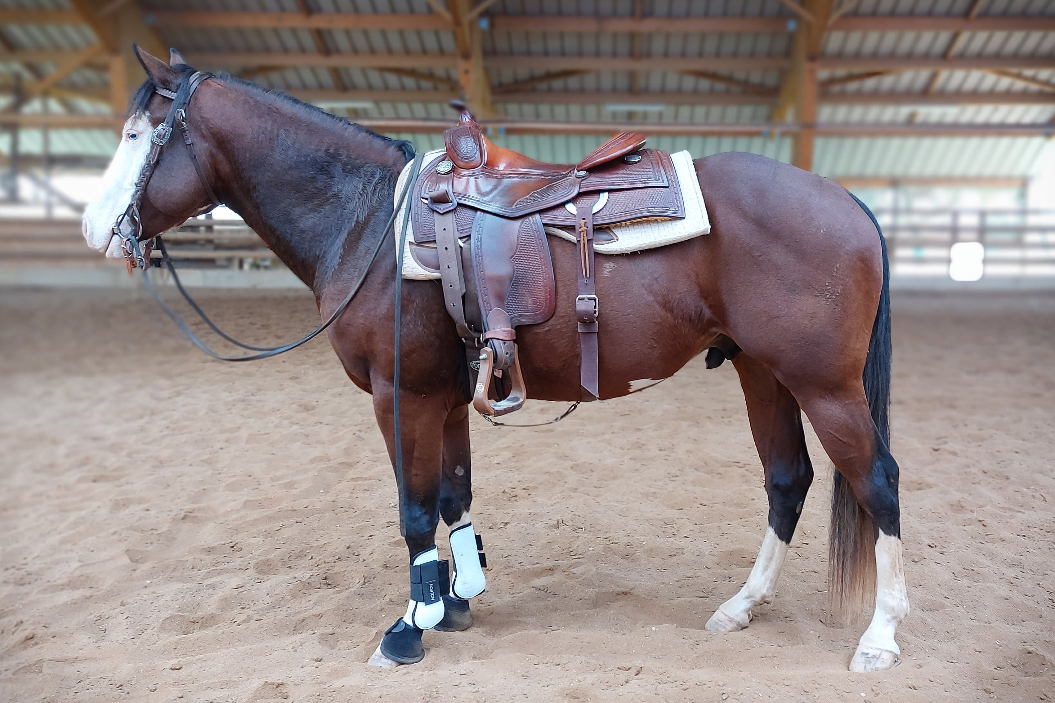 Mors Western Anneau En D Simple Cassé HKM Sports - 125 Mm Argent