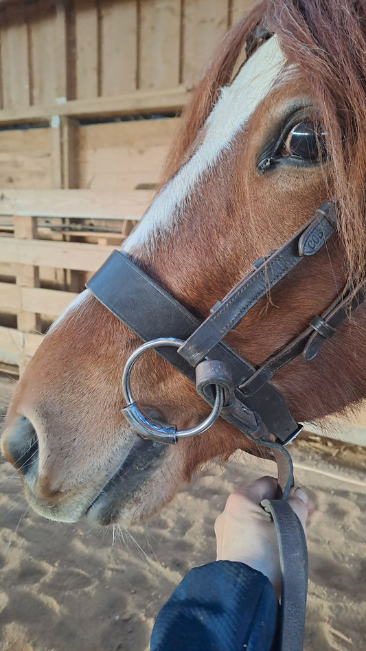 Snaffle cintré Elite Pro Series Metalab