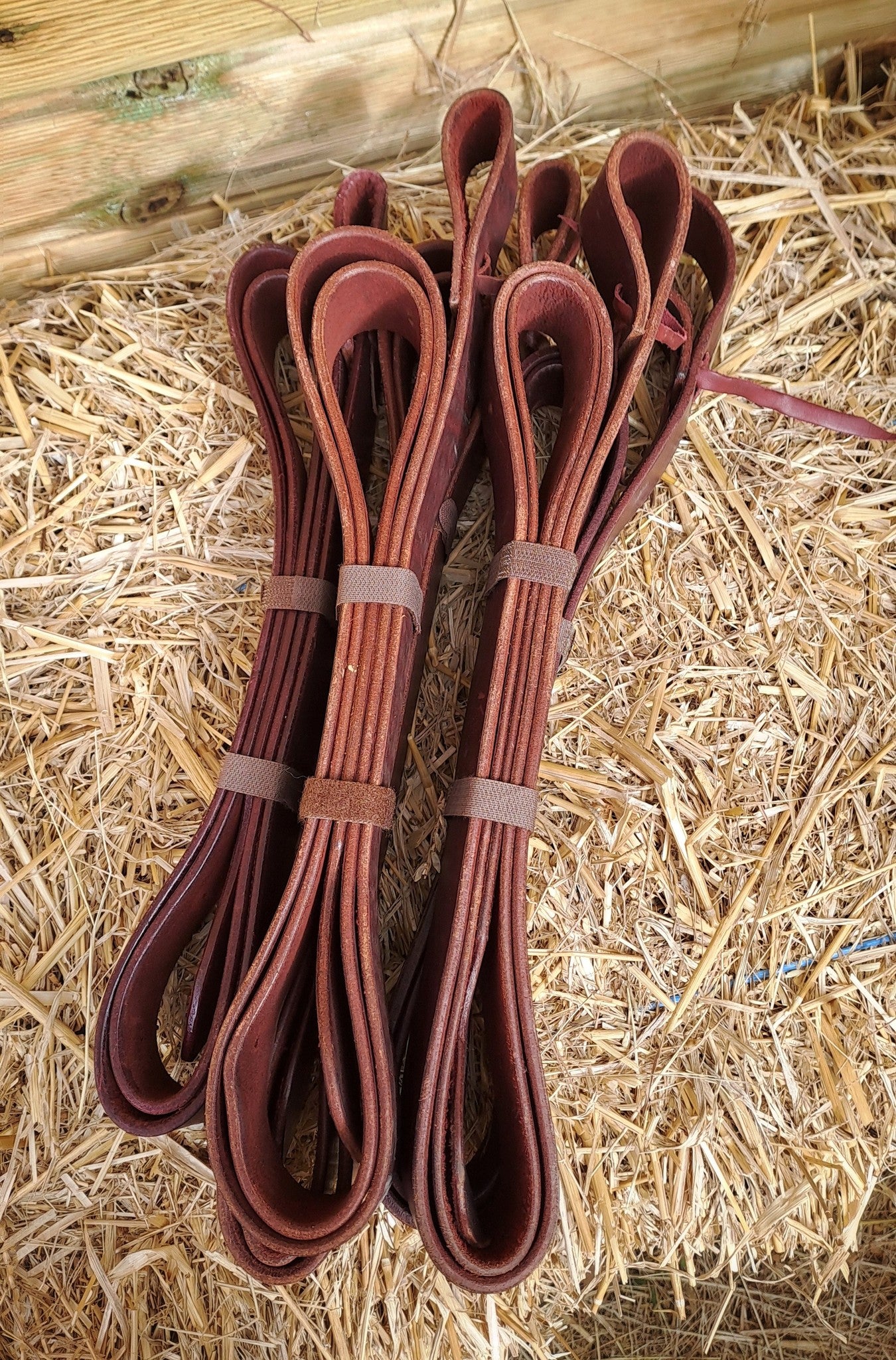 Tie strap (sanglon) cuir latigo, 2.1m, à trous