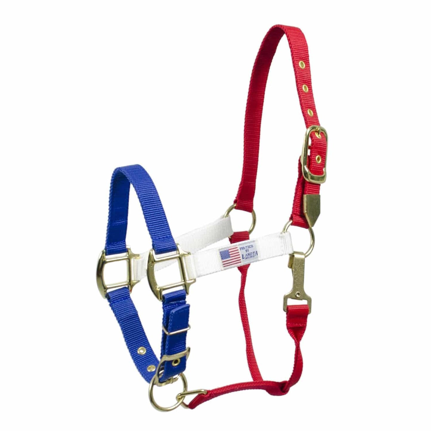 Licol nylon Pool's drapeau USA