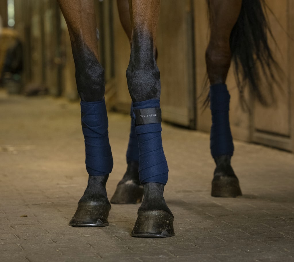 Bandes de polo haute qualité Equithème, set de 4