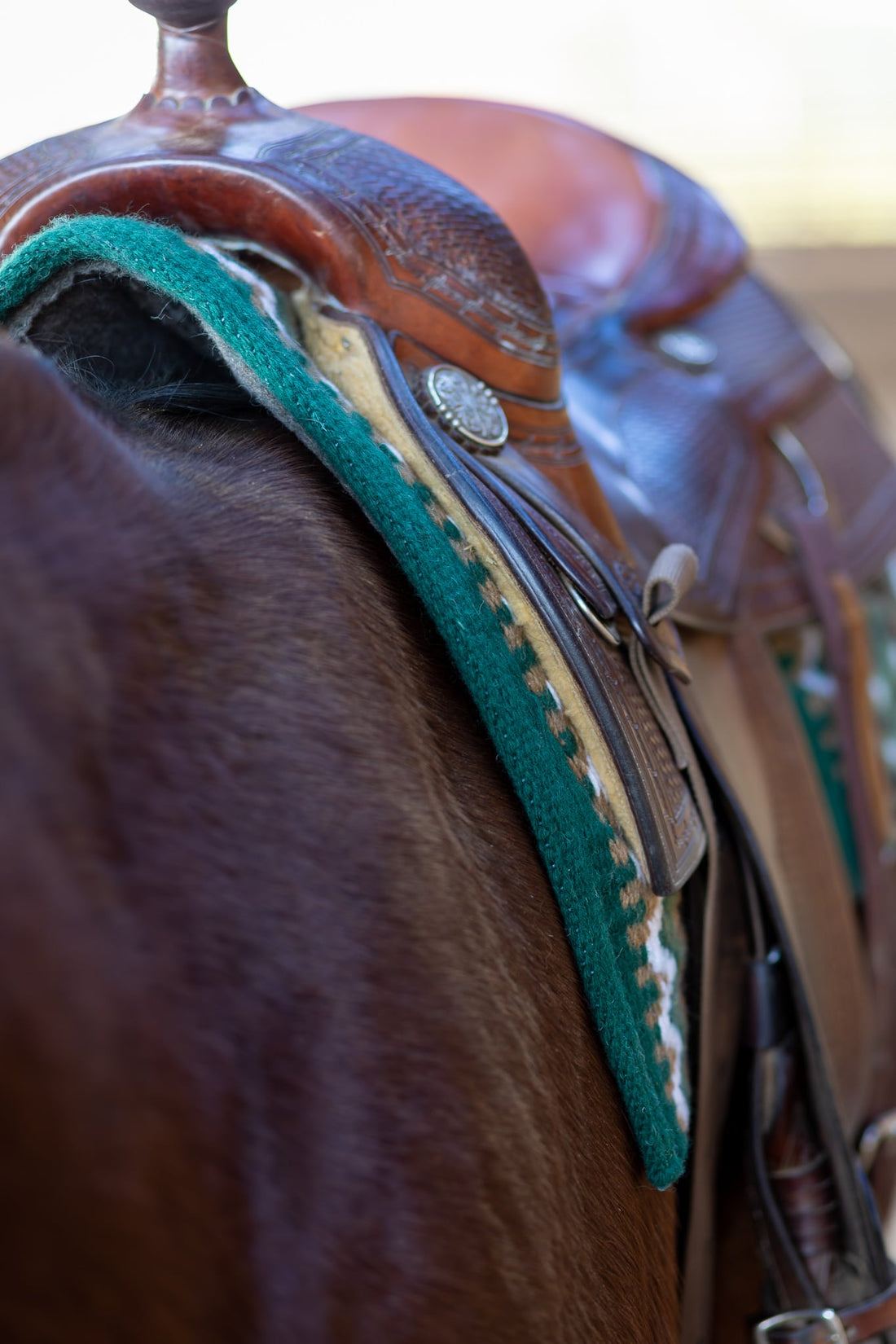 Bien choisir sa selle western en 6 leçons : les conseils du saddle-fitter.