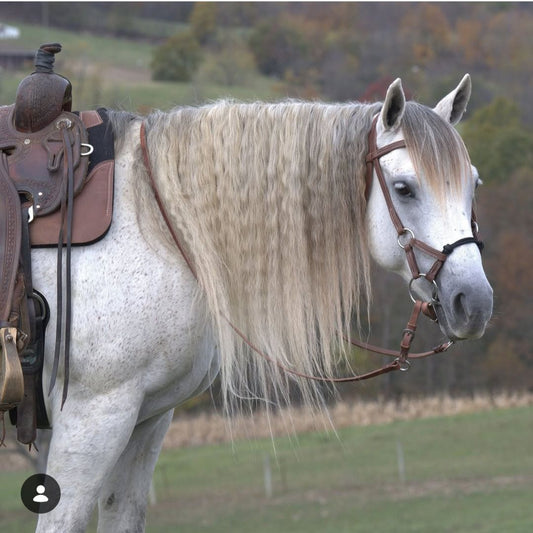 Bridon hybride  Kalley Krickeberg - Weaver Leather - Bouclerie J. Watt