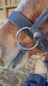 Snaffle cintré Elite Pro Series Metalab