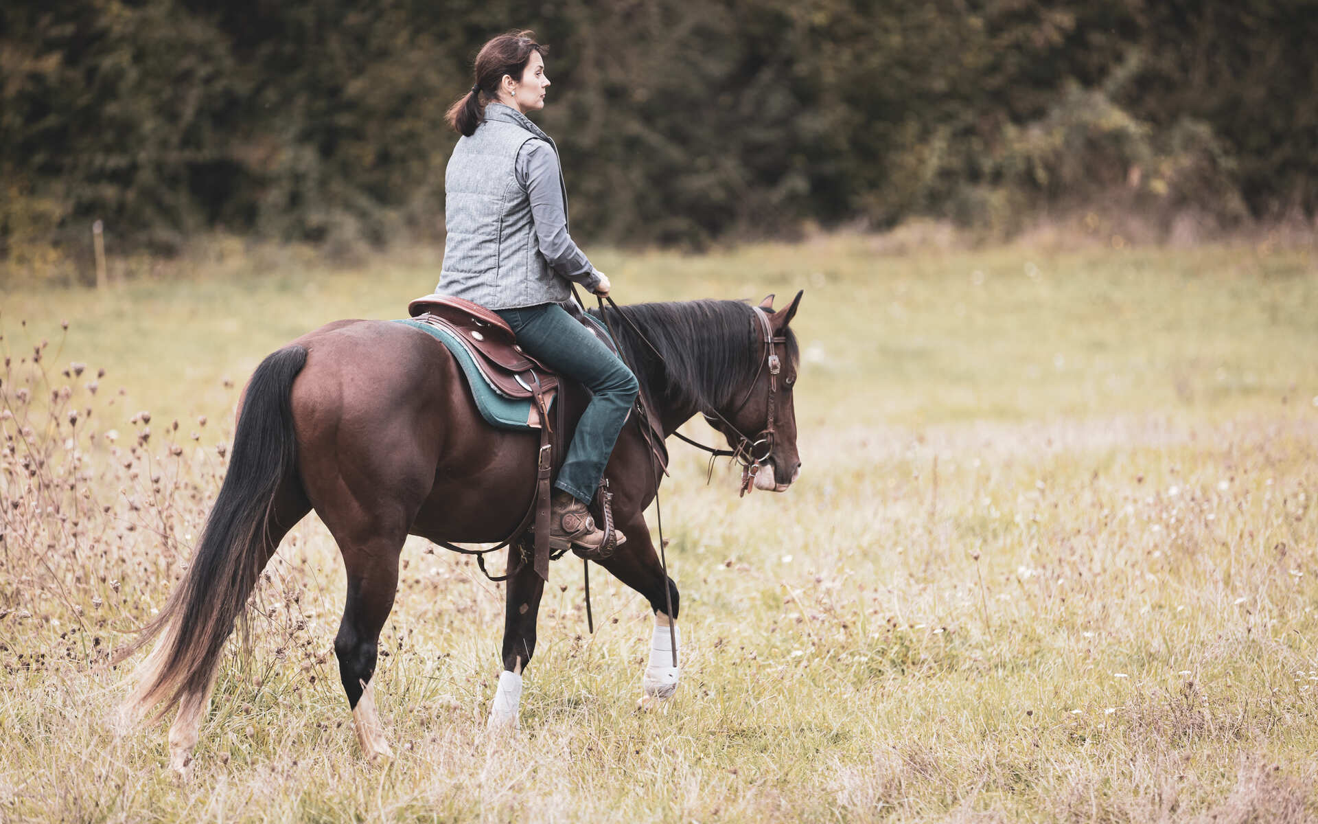VOTRE SPECIALISTE DE LA SELLE WESTERN