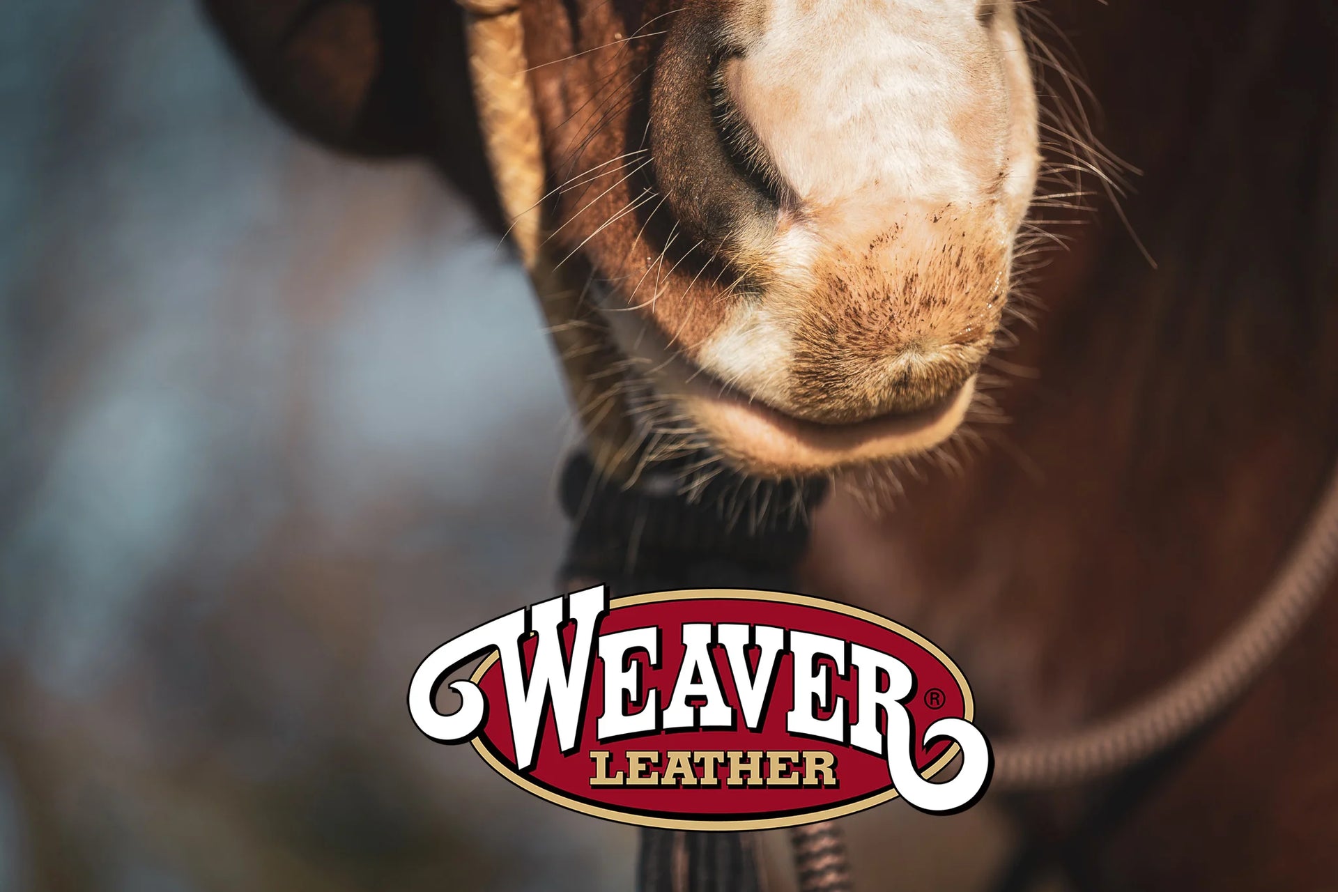DISTRIBUTEUR WEAVER LEATHER USA