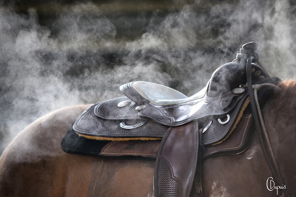 CONSEIL ET VENTES SELLES DE MARQUE